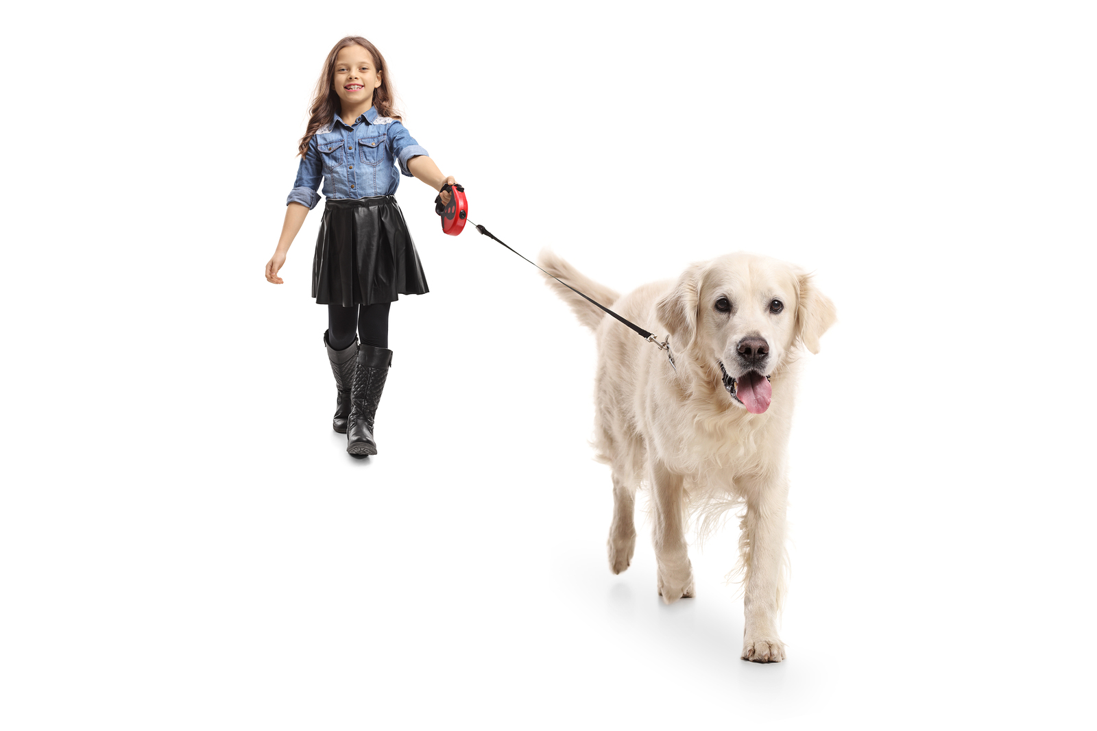 people walking dog png