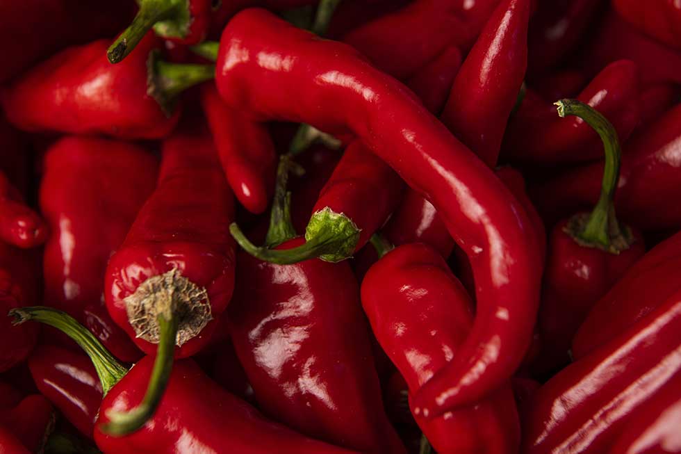 web peppers