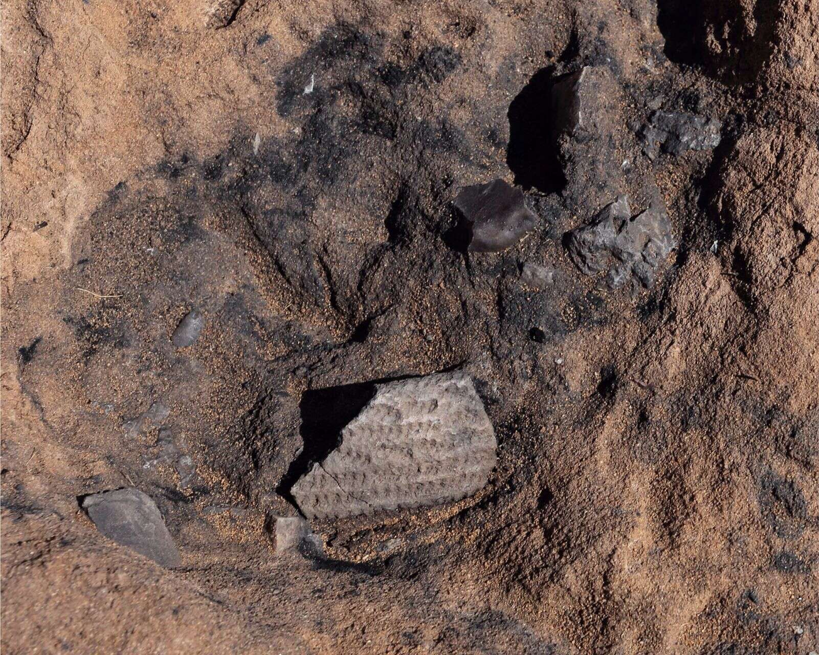 11200-Year-Old-Pottery-Found-in-Mongolia