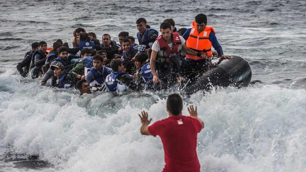 13313176-e1768556031292