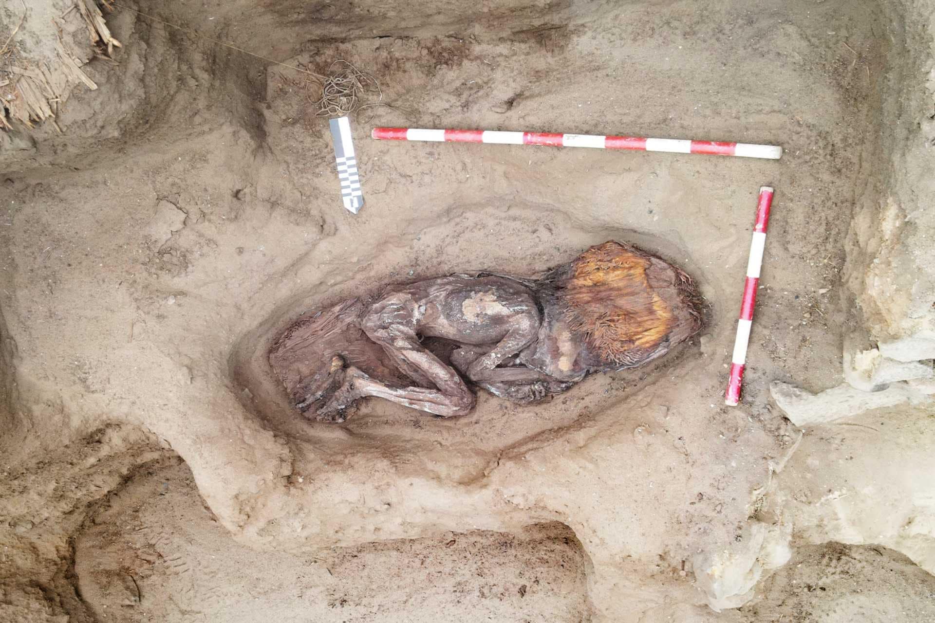 5000-Year-Old-Noblewoman-Found-in-Peru