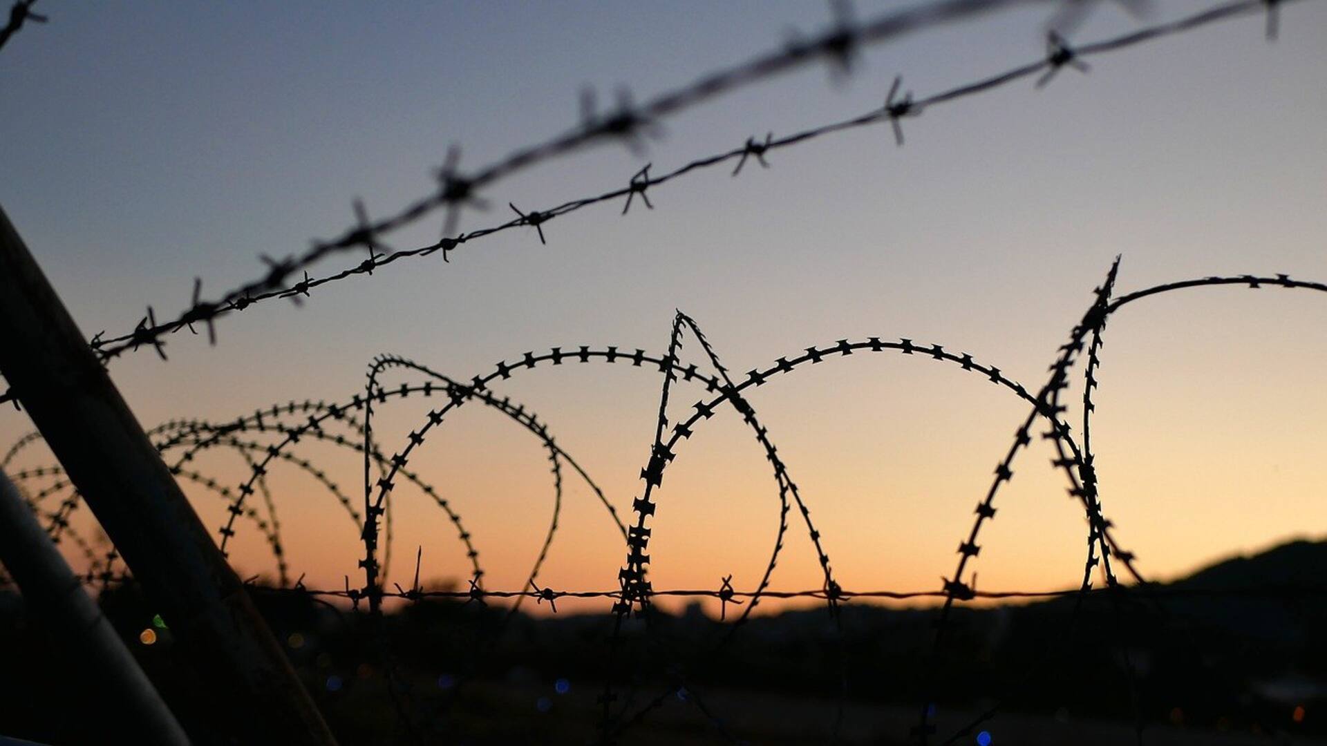 AsylumSeeking_76967