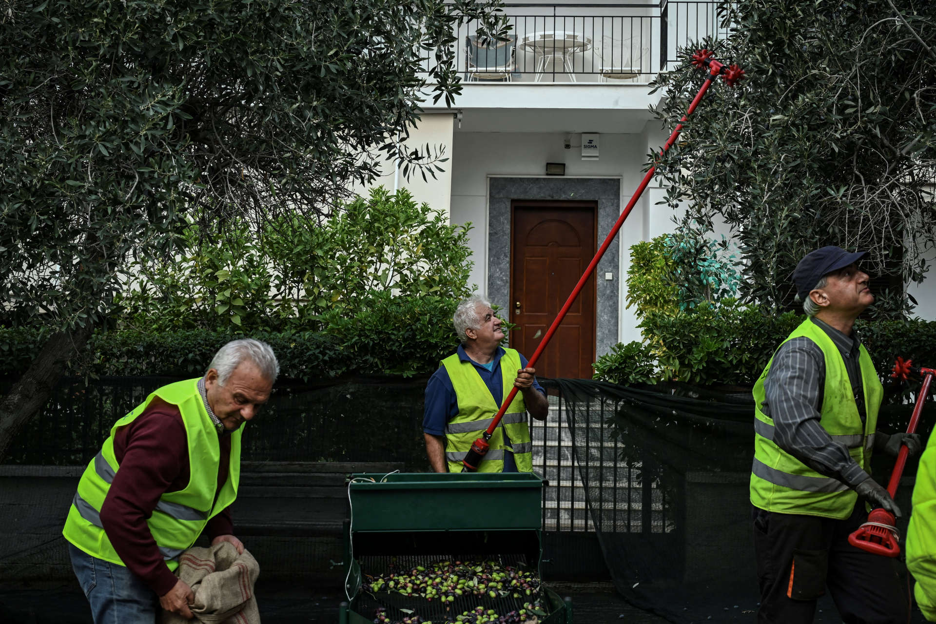AFP__20241128__36NC4EF__v1__HighRes__GreeceAgricultureFoodSocial-WEB_EK