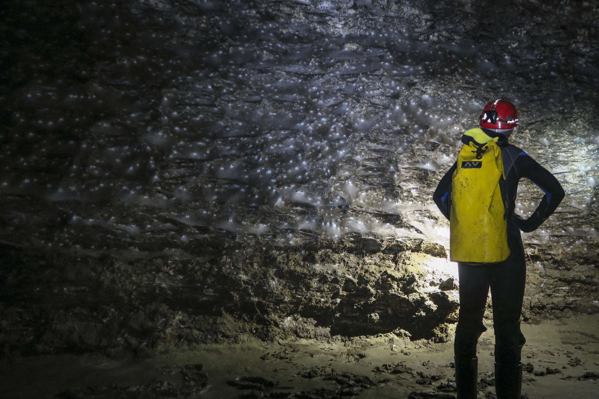 AFP__20251120__84KV9WE__v3__HighRes__GreeceAlbaniaEnvironmentAnimals-WEB_EK