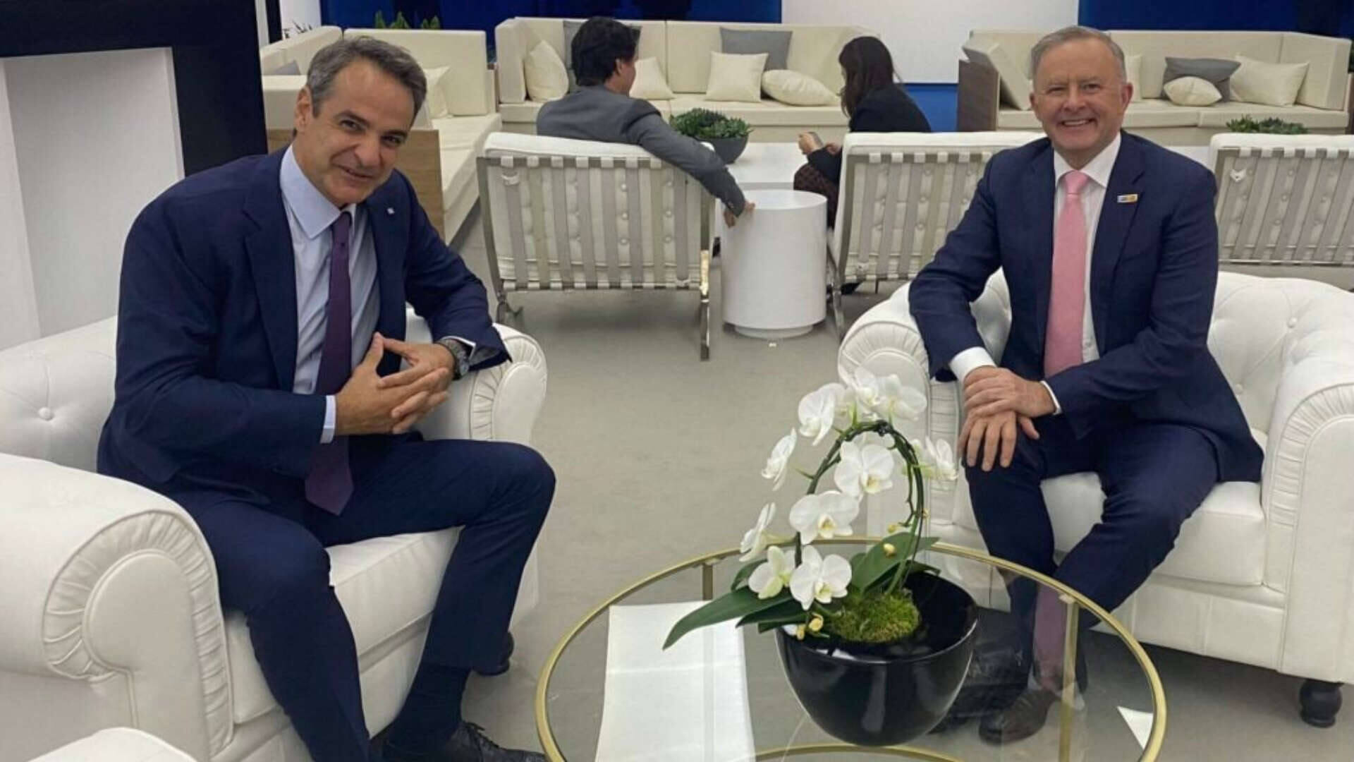 albo-mitso-WEB_46212