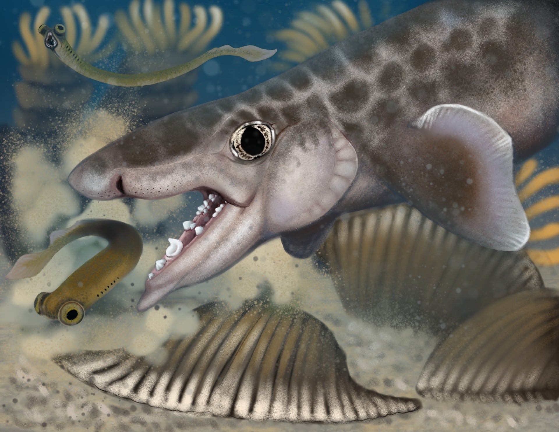 Ancient-Shark-Discovered-in-Worlds