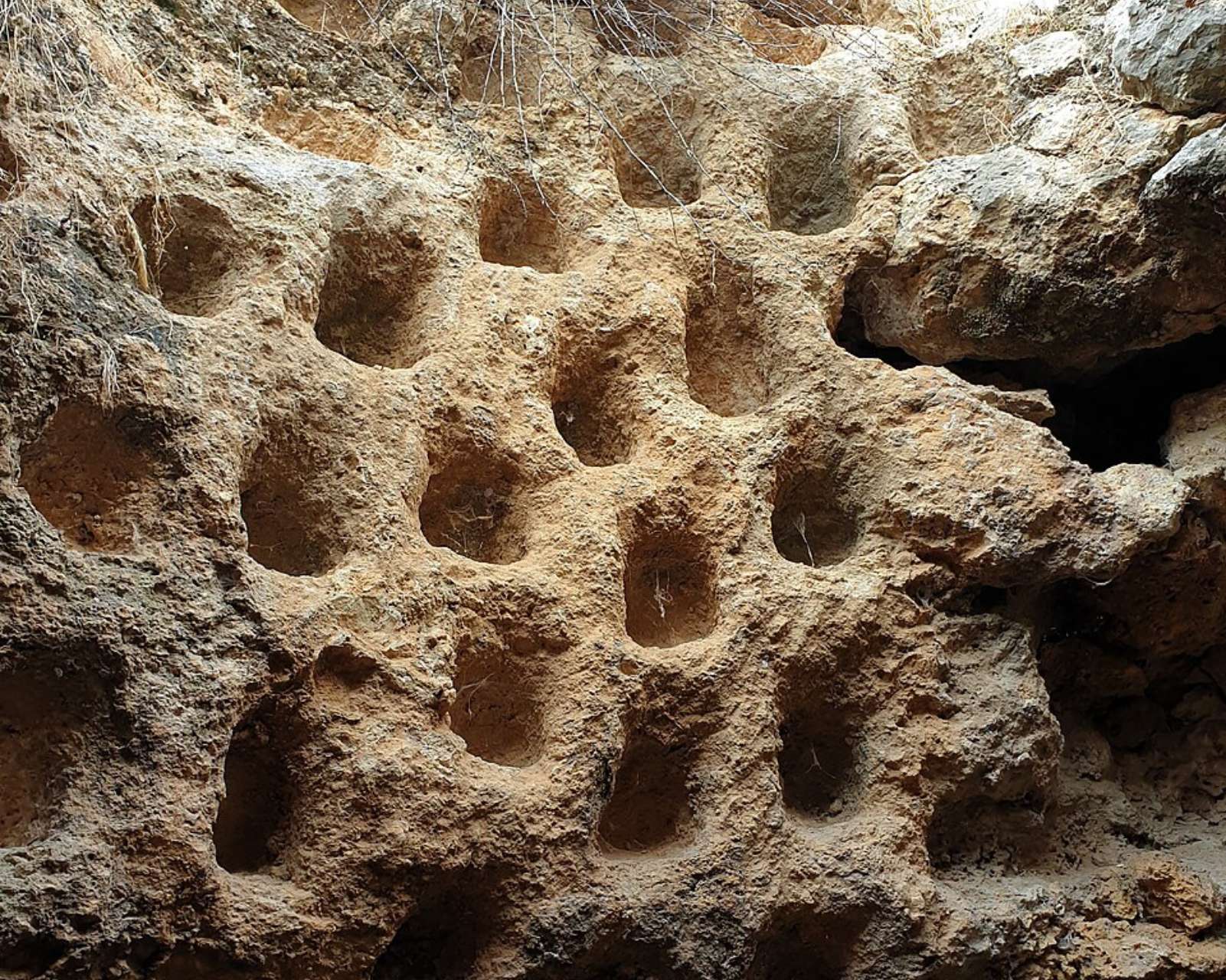 Archaeologists-Claim-Discovery-of-Exact