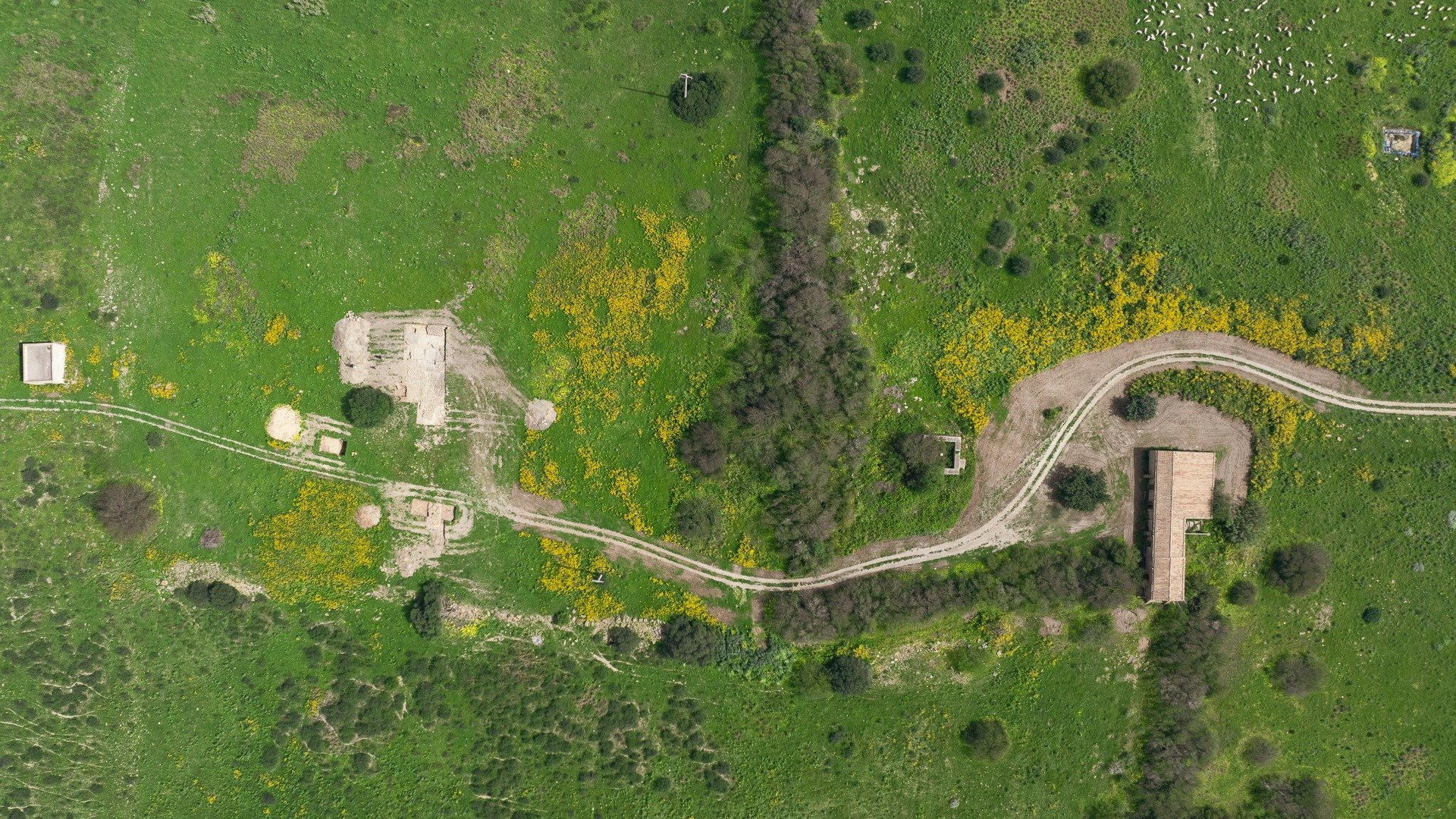 Archaeologists-Uncover-Walls-and-North