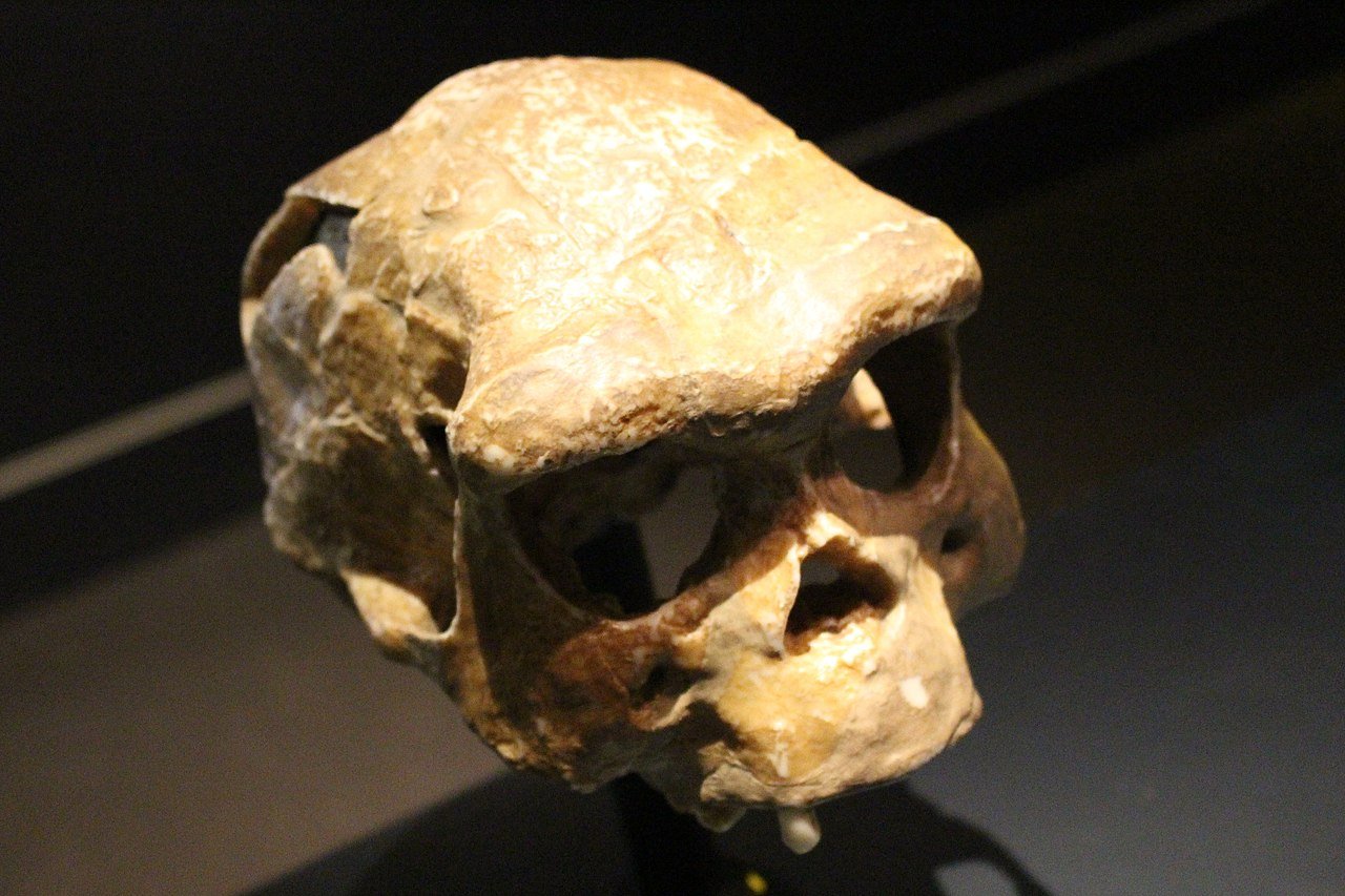 Cave-Discovery-Uncovers-Unknown-Human