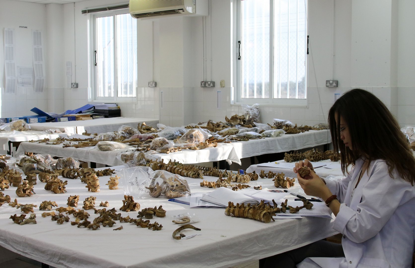 colette-Working-on-identification-of-bones-of-the-missing
