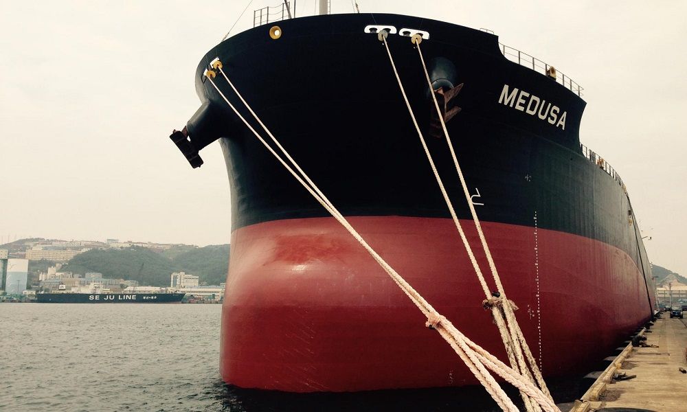 Diana-Shipping-fixes-another-kamsarmax