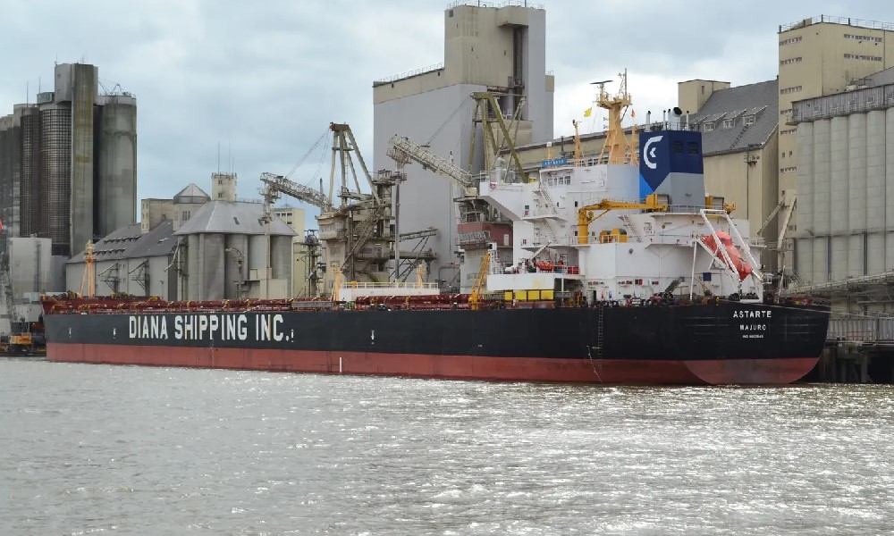 Diana-Shipping-fixes-out-kamsarmax