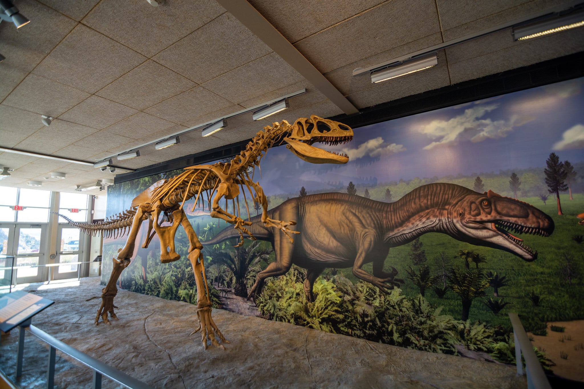 Dinosaurs-Originated-in-the-Amazon