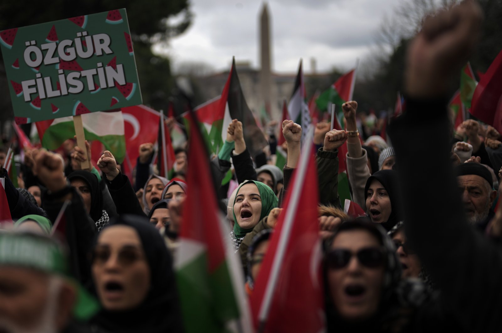 divDiplomatic-push-for-peace-Turkiyes