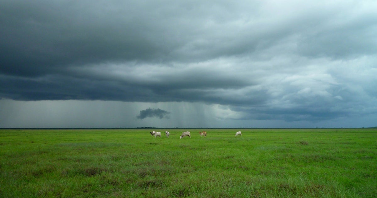 divSo-THATs-Why-Some-People