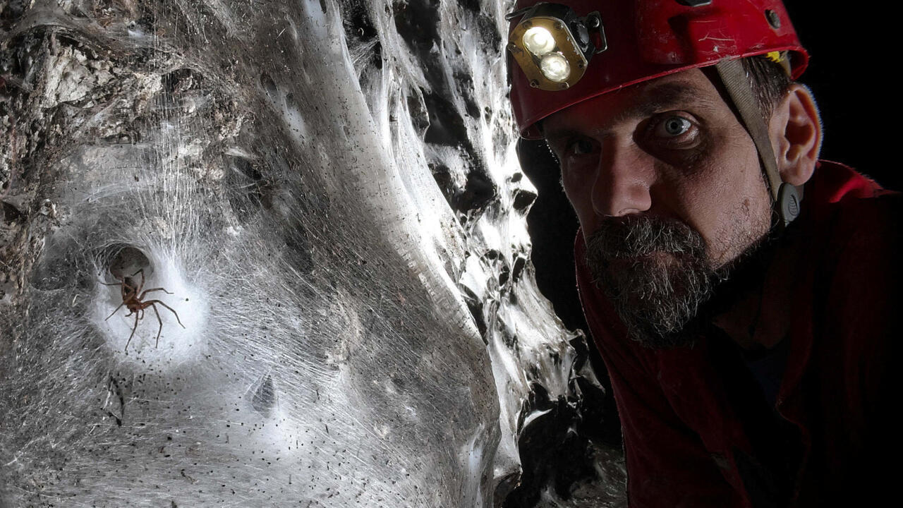 divThe-Bright-Side-Giant-web