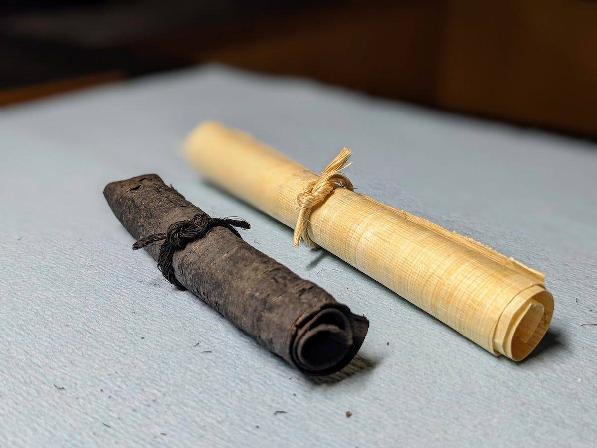 Dozens-of-Ancient-Herculaneum-Scrolls