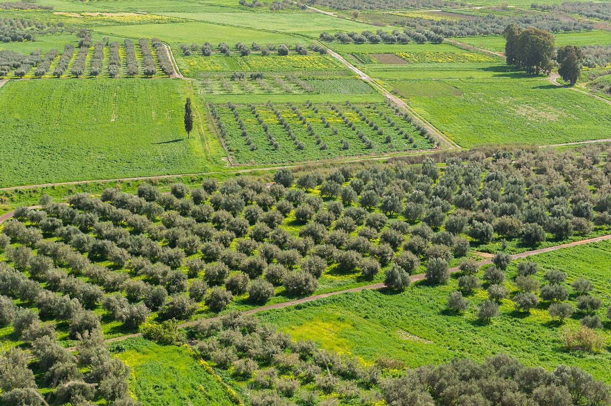 EU-Demands-Greece-Repay-E670