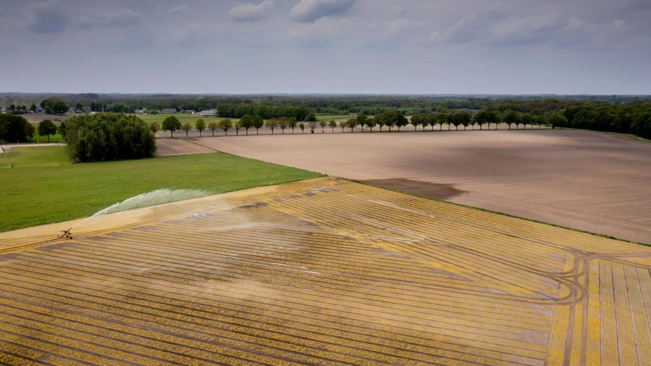 Europes-heatwave-dries-fields-and