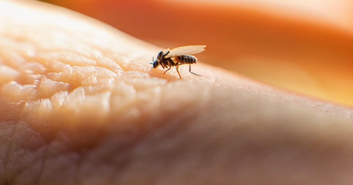 Everything-we-know-about-‘sloth