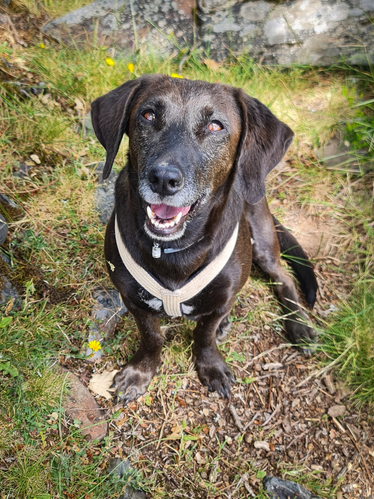 feature-alexandra-main-Oli-attending-Edward-and-Martinas-wedding-in-Tuscany