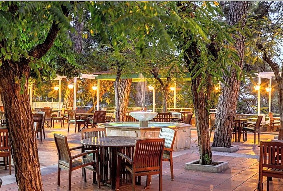 feature-tom-1-main-The-outdoor-patio-of-the-Forest-Park-hotel