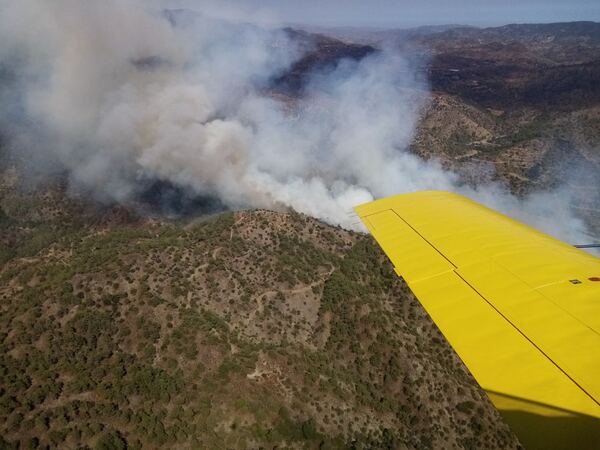 fire-service-forestry-department-cyprus
