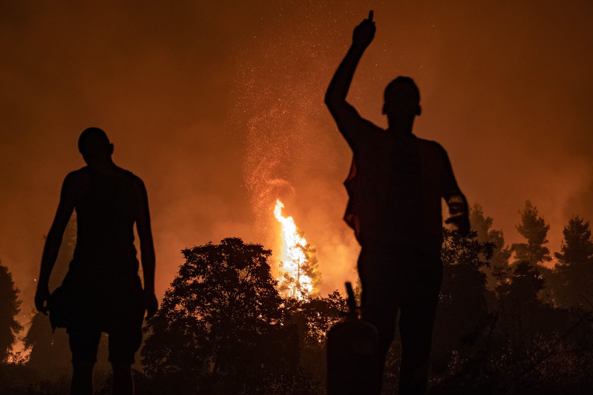 Fires-Shaped-the-Landscape-of