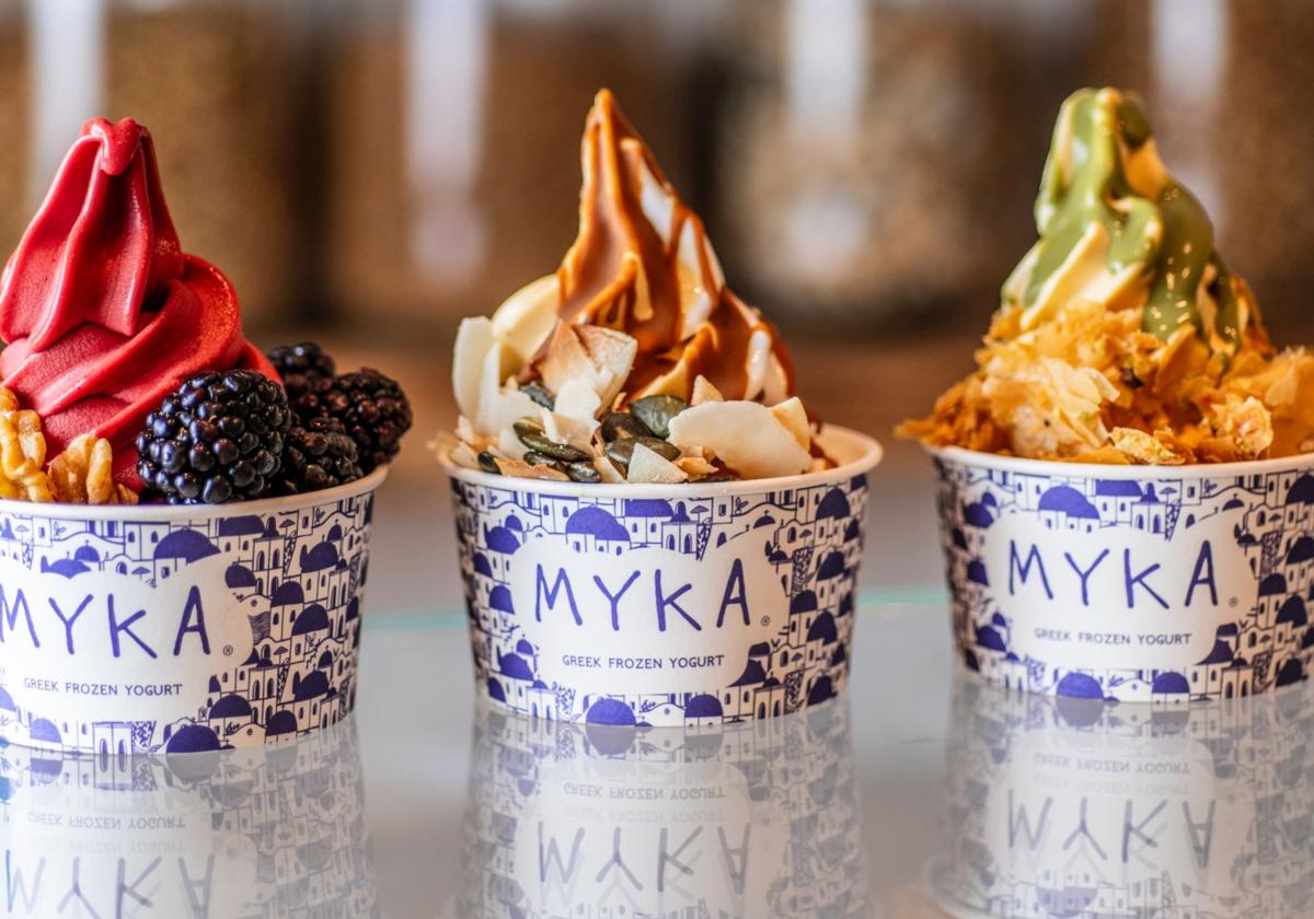 Frozen-greek-yoghurt-parlour-Myka