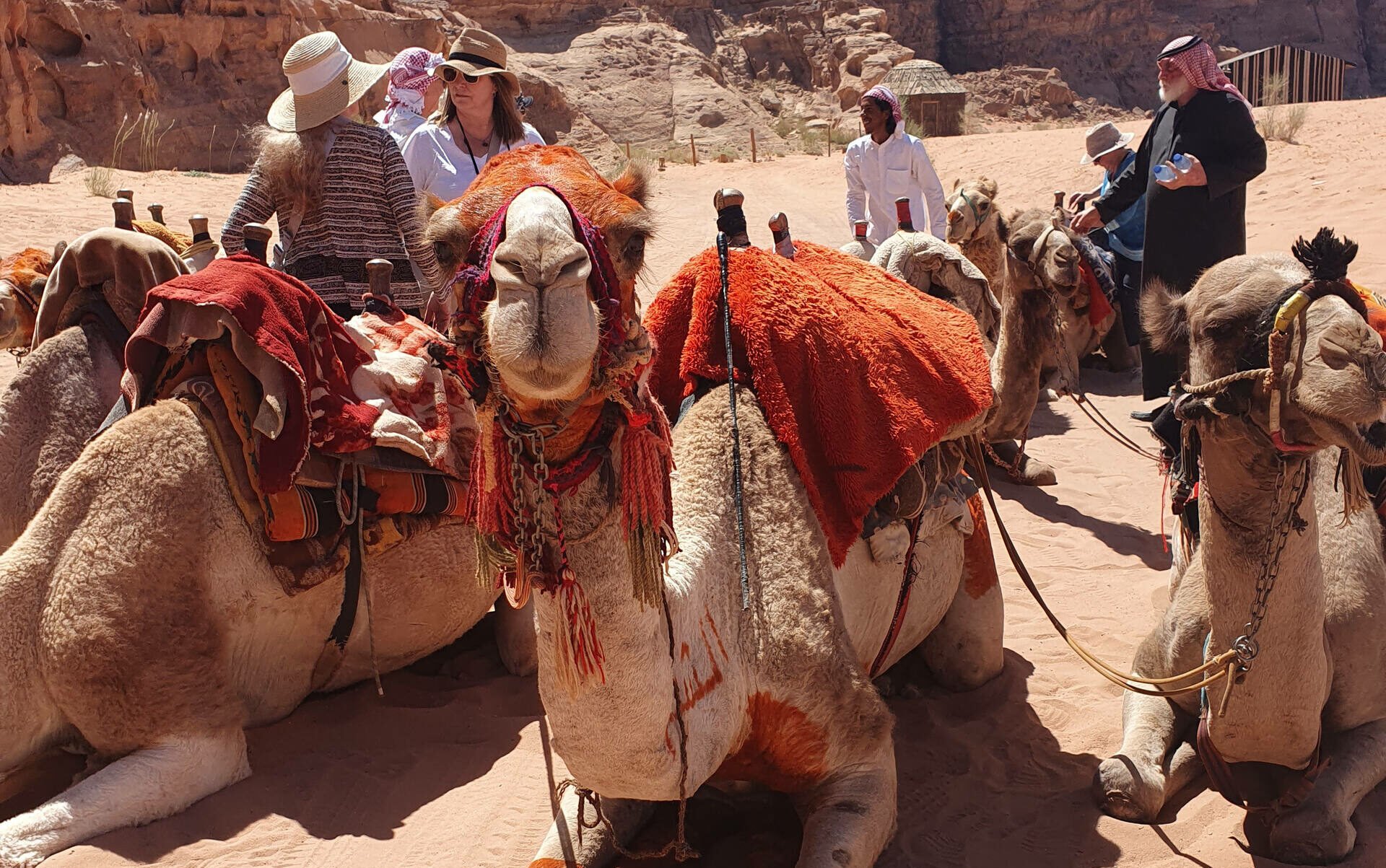 jordan-camel-PRINT_89416-e1717400055433