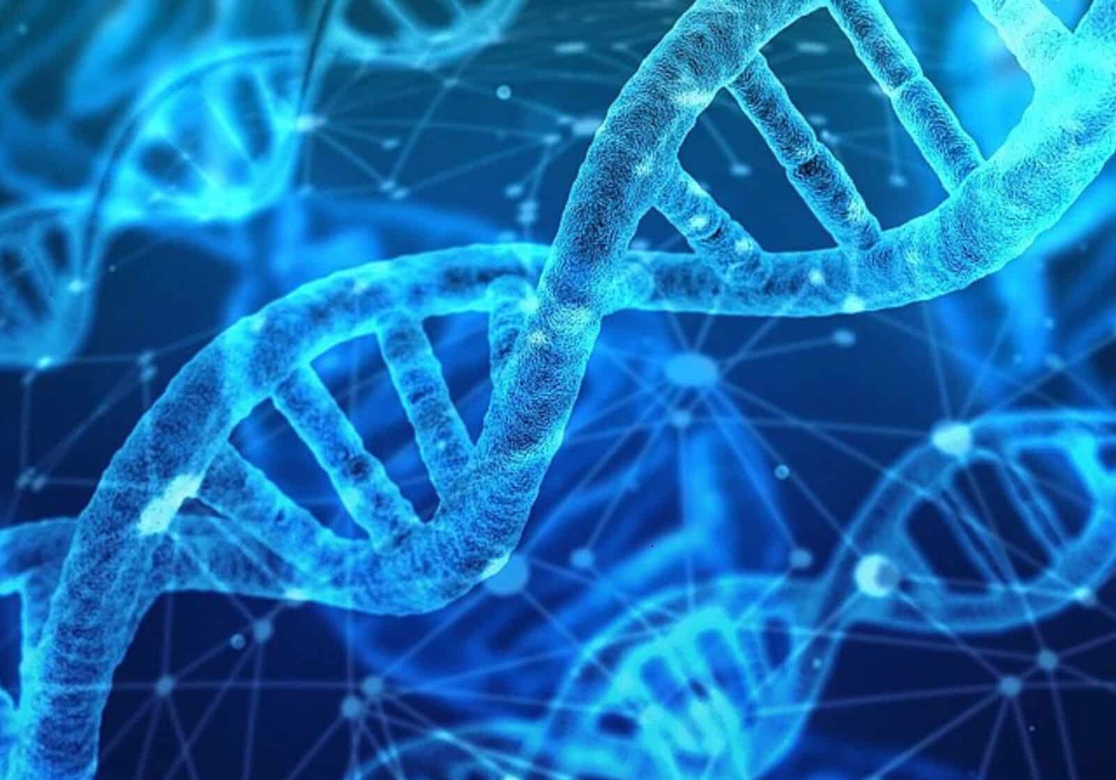 Massive-DNA-Study-Questions-Link