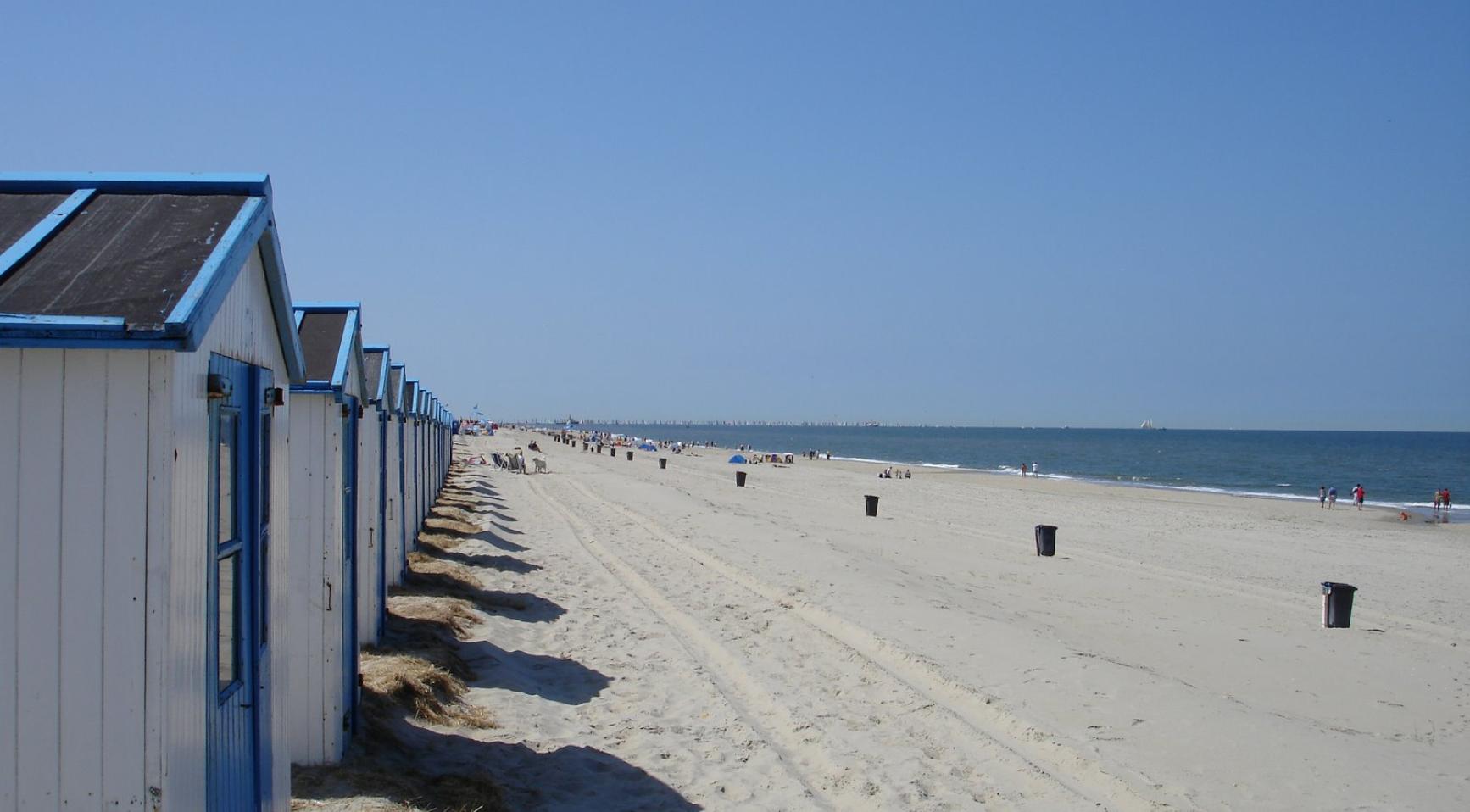 Midweek-visit-to-Texel-more