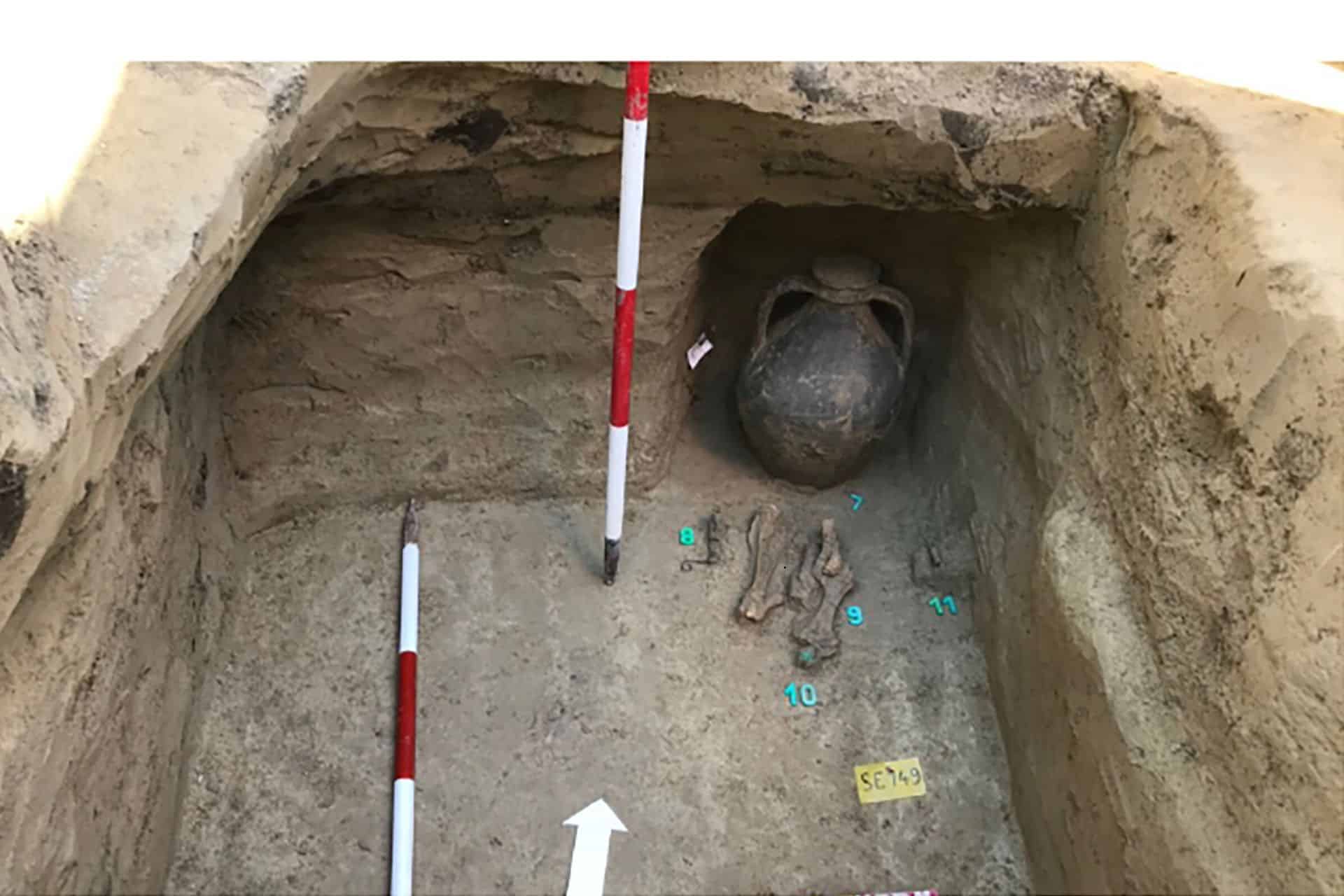 Mystery-of-the-Origins-of