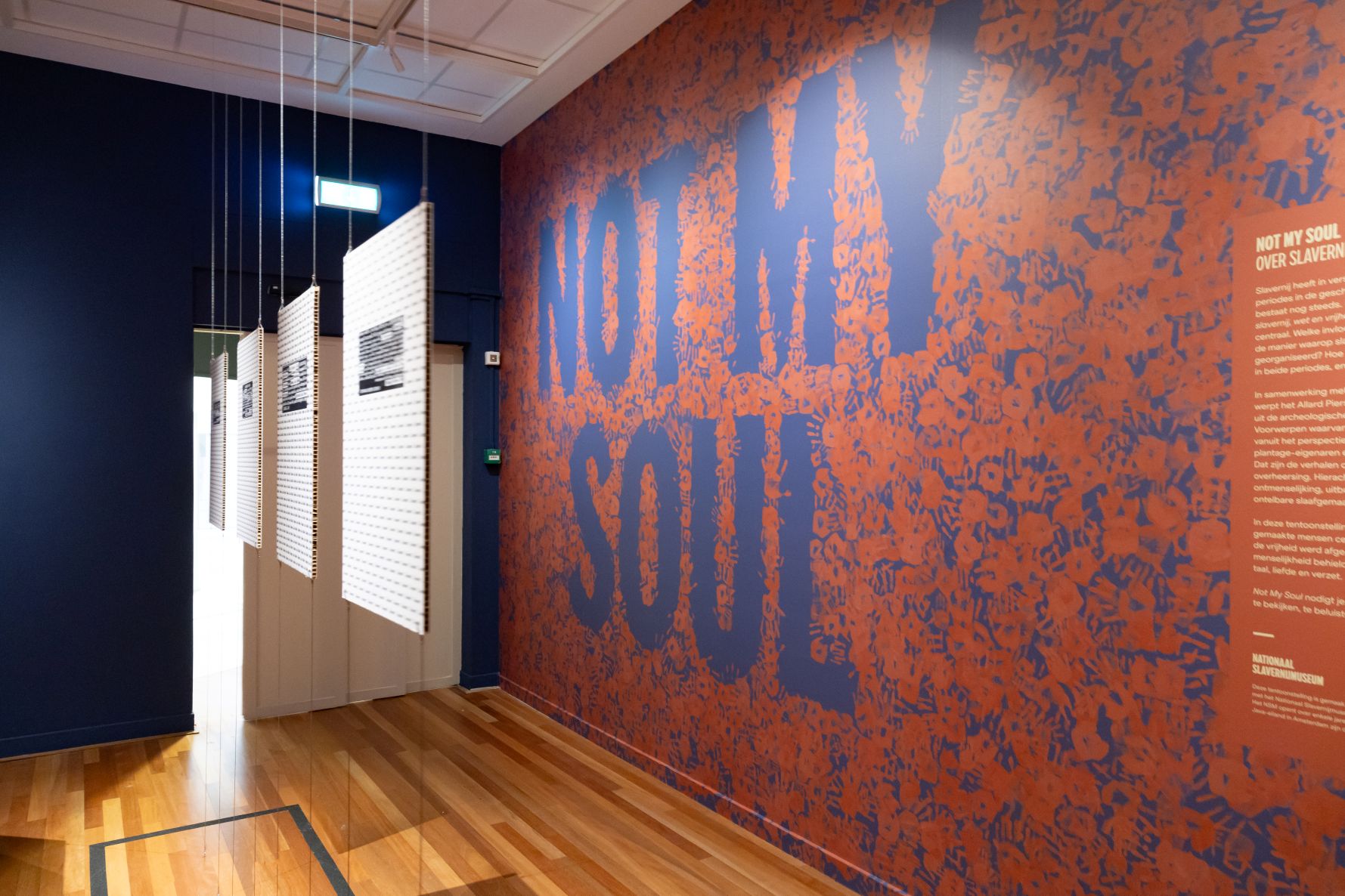 Not-my-soul-exhibition-compares