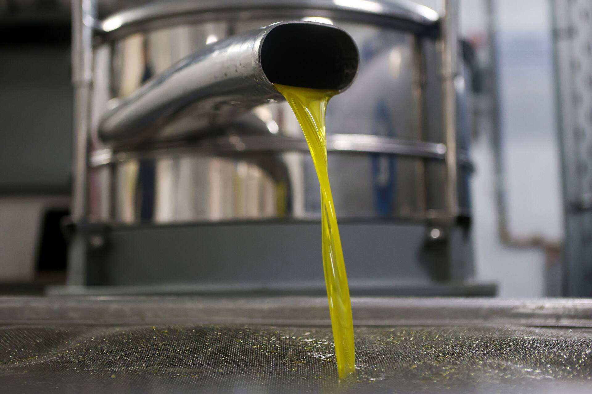 OliveOil_AAP-PRINT_39535