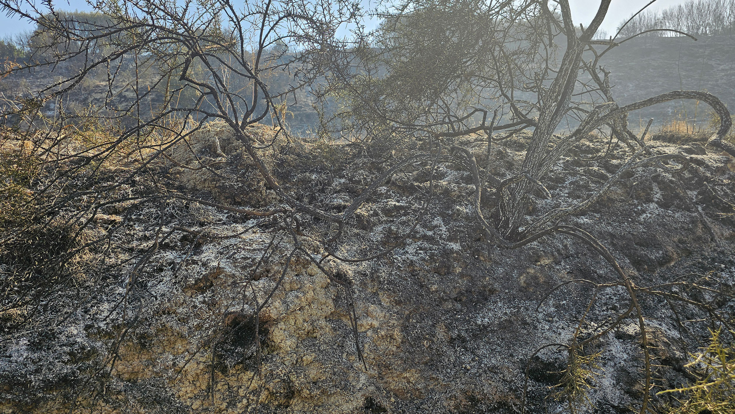Paphos-fire-2