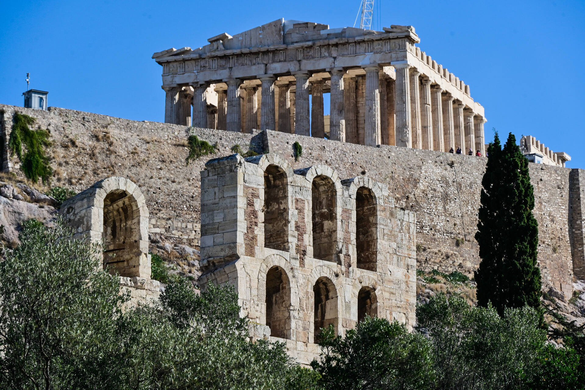 Parthenonasn-PRINT_18487