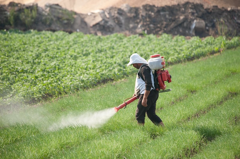 Pesticides-Pose-Cancer-Risk-on