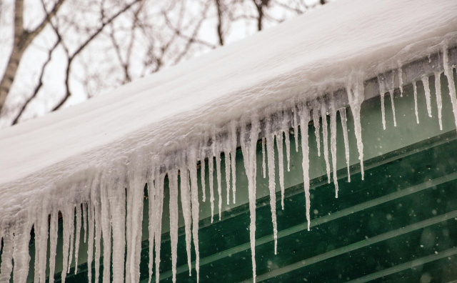 photo_verybig_236514