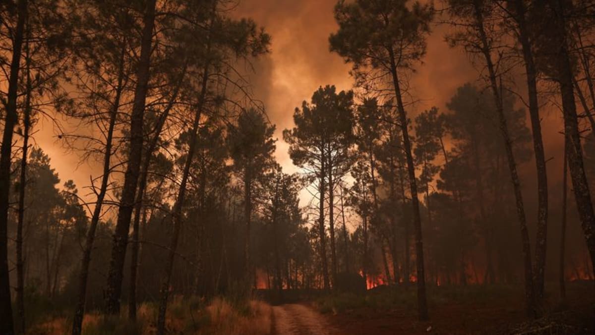 Portugal-wildfires-claim-first-victim