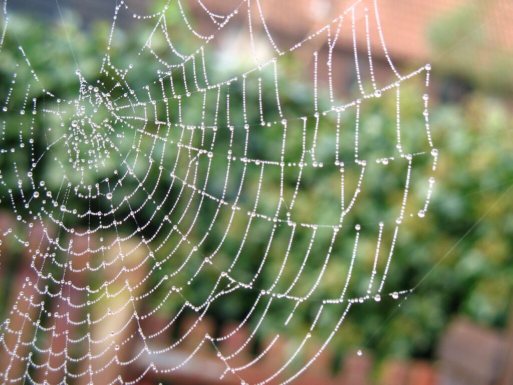 Researchers-Turn-Spider-Mans-Web-Slinging-Into