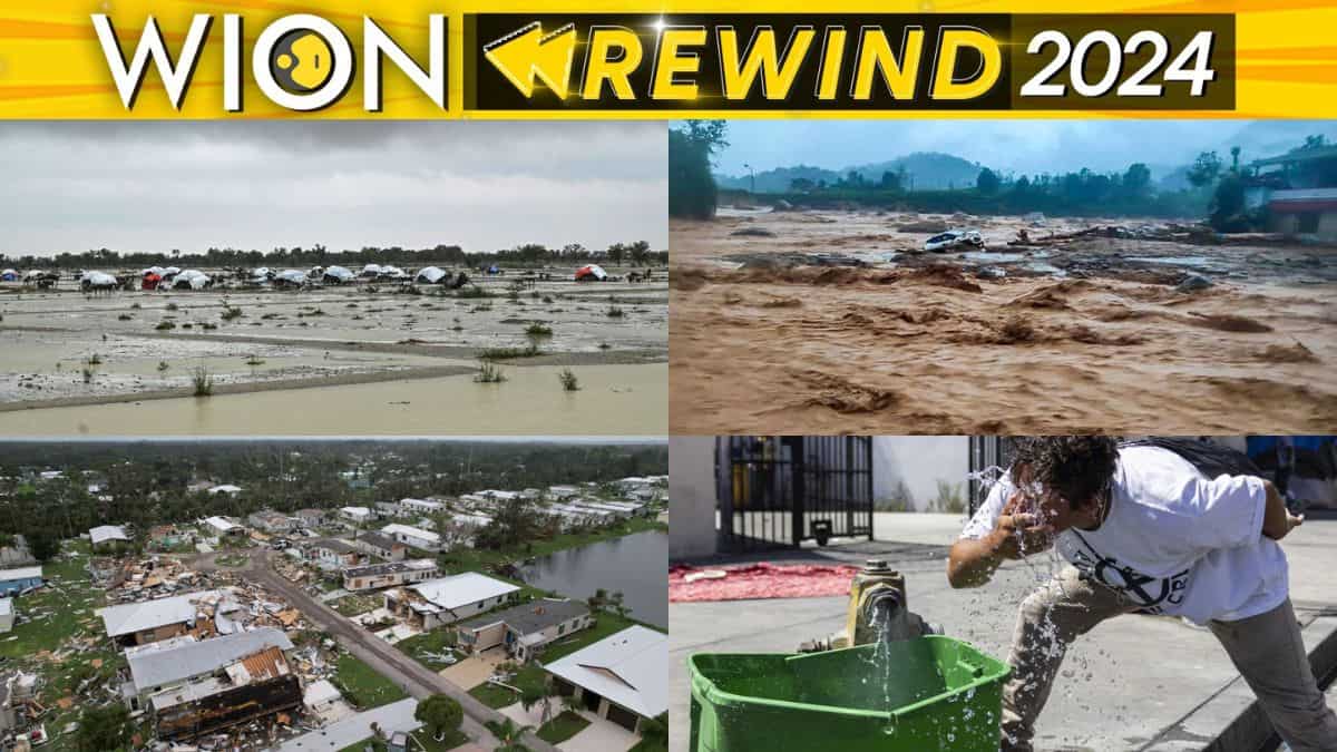 Rewind-2024-A-reminder-climate