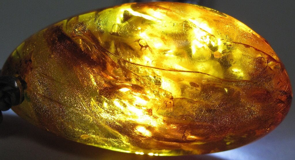 Scientists-Find-Amber-Fragments-in Scientists-Find-Amber-Fragments-in