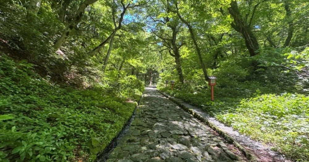 Searching-for-Japans-river-of