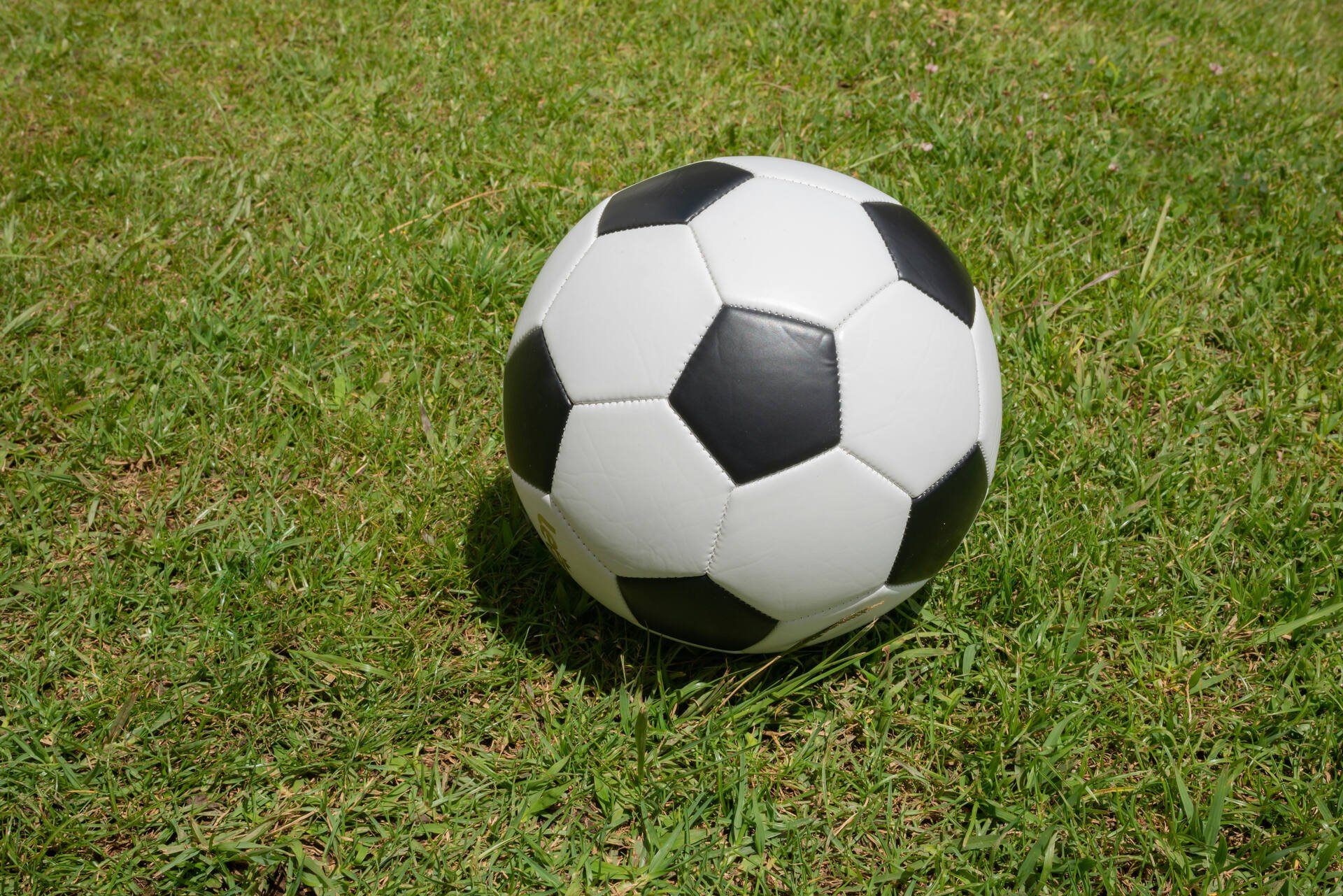 Soccerball_AAP-PRINT_65671