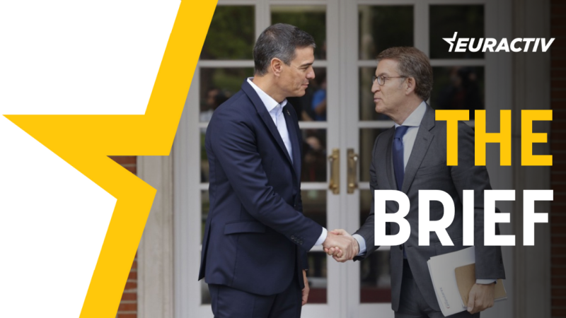 The-Brief-web-version-4-800x450-1
