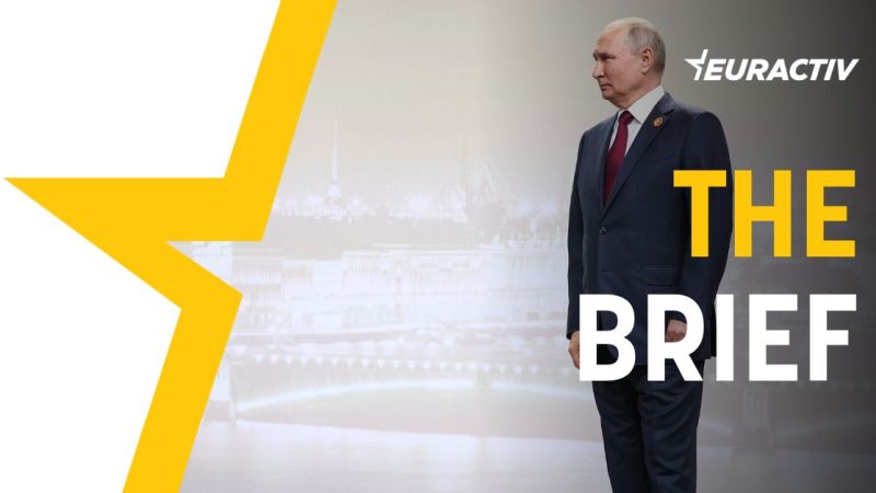 The-Brief-web-version-800x450-1
