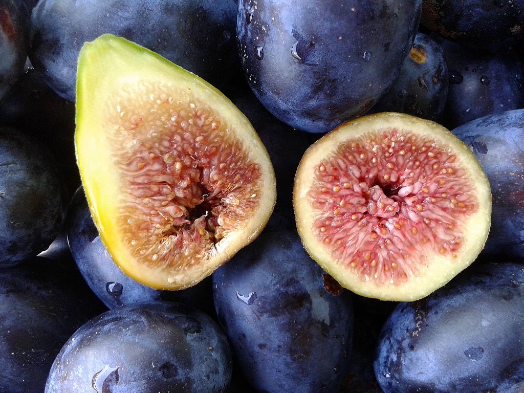 The-Fig-An-Iconic-Greek