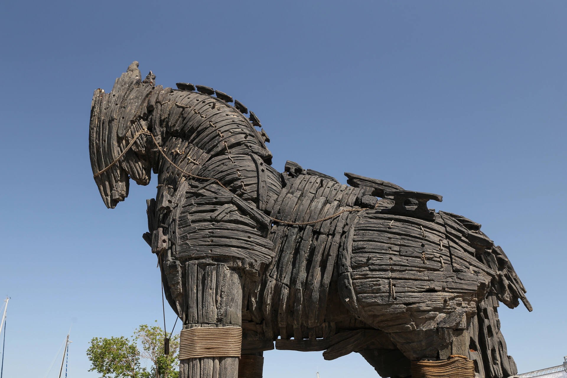 Trojanhorse-PRINT_74106