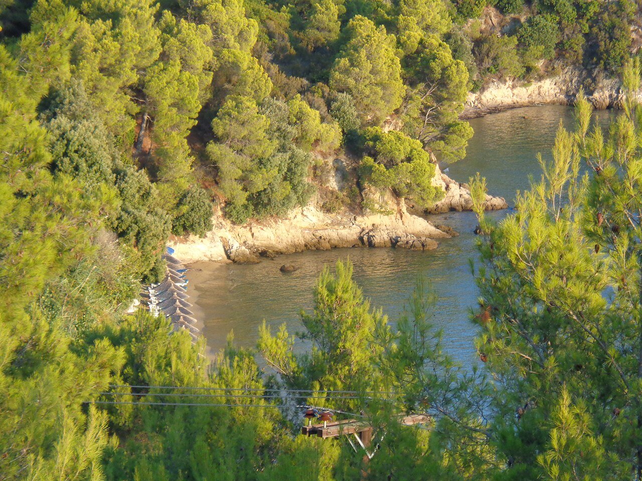 UK-Tourist-Dies-During-Heatwave